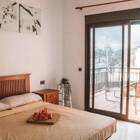 International Surf Camp Only Surf Hostel *