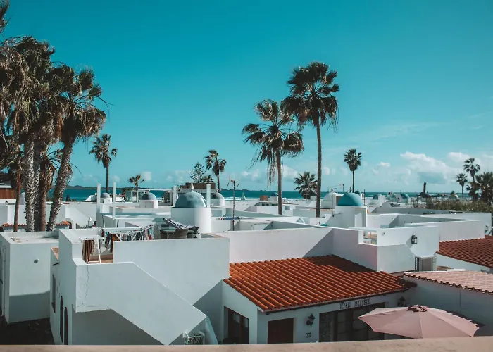 International Surf Camp Only Surf Albergue Corralejo