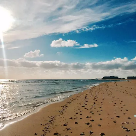 International Surf Camp Only Surf