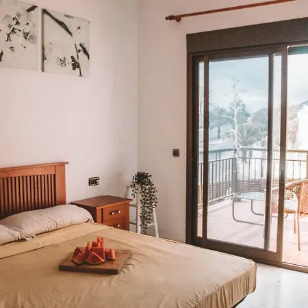 International Surf Camp Only Surf Corralejo