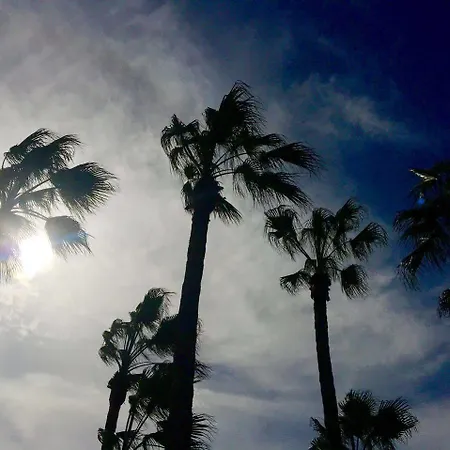 International Surf Camp Only Surf * Corralejo