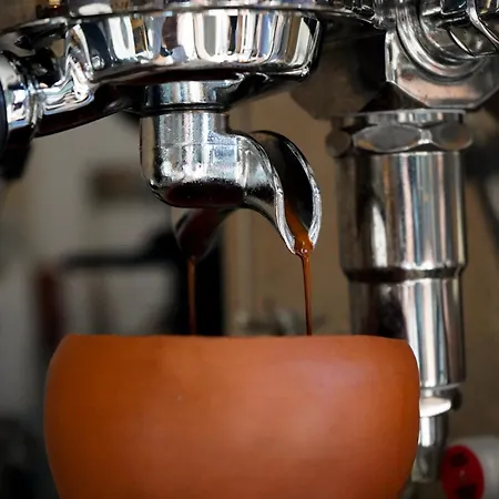 بيت شباب International Surf Camp Only Surf *