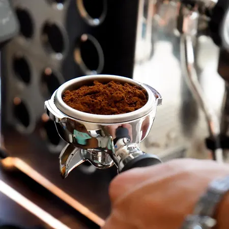 بيت شباب International Surf Camp Only Surf كوراليهو