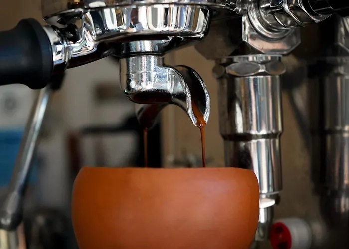 بيت شباب International Surf Camp Only Surf *