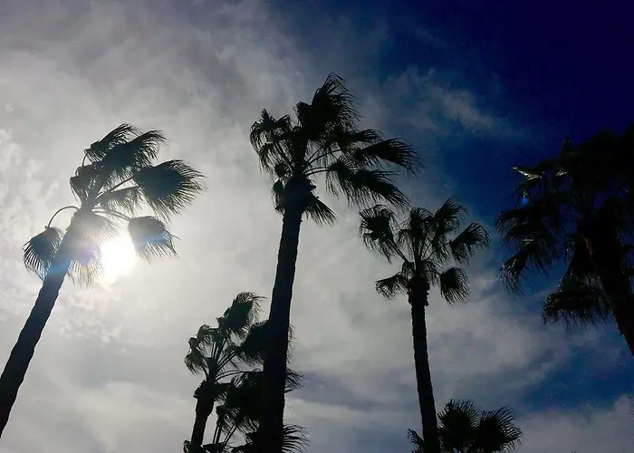 International Surf Camp Only Surf * كوراليهو